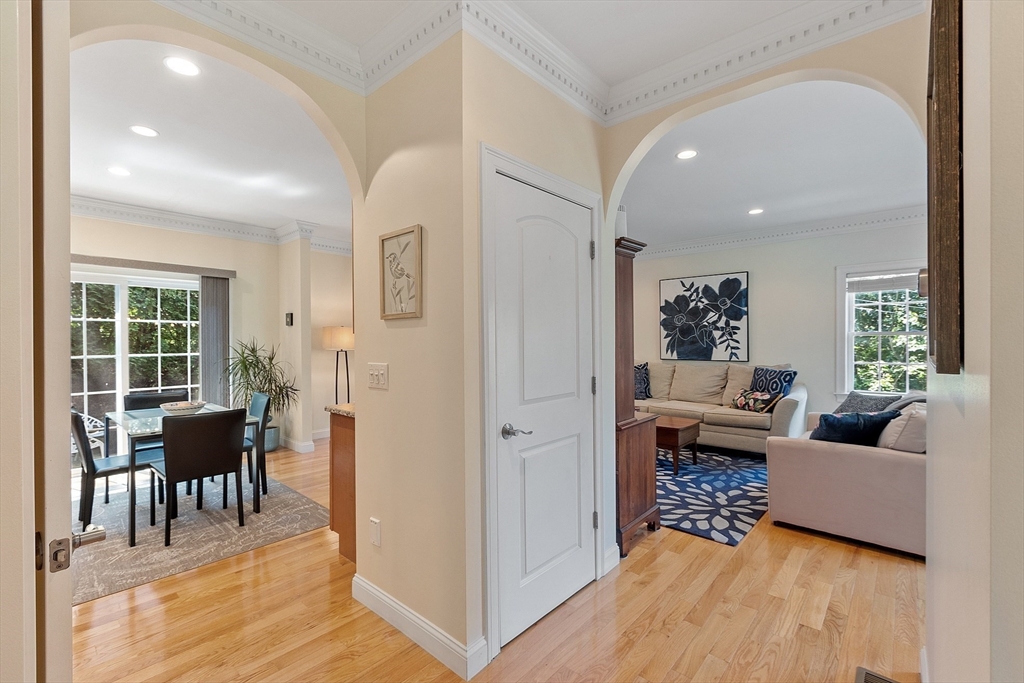 54 Orchid Dr