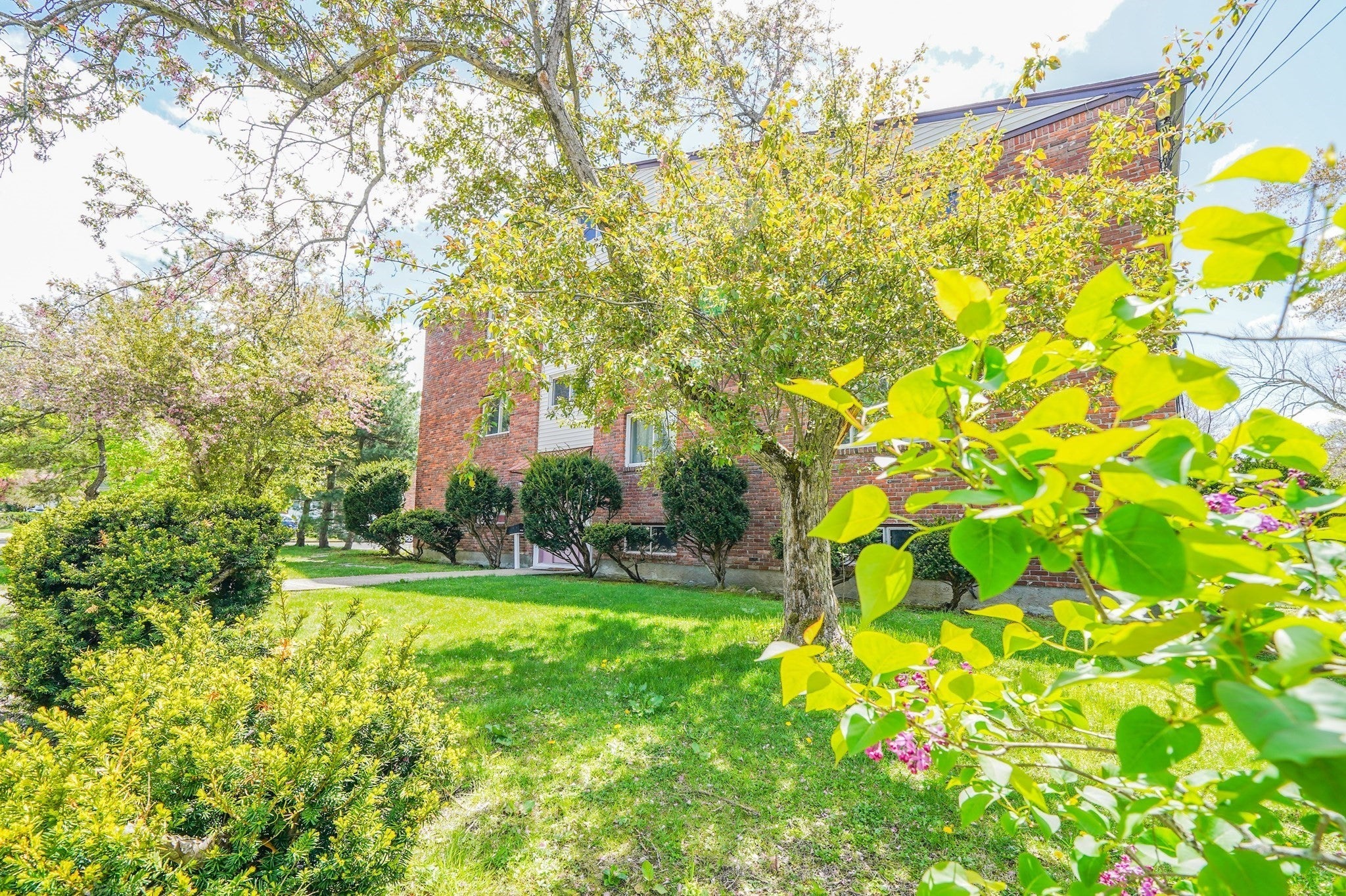1274 Beacon ST #2, Newton, MA, 1274 Beacon ST #2, Newton, MA Photo #19