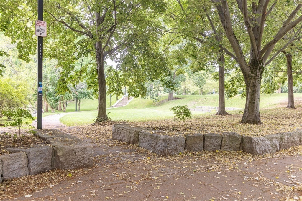 Boston, Massachusetts 02130, United States, 2 Bedrooms Bedrooms, ,2 BathroomsBathrooms,Residential,Active,172628