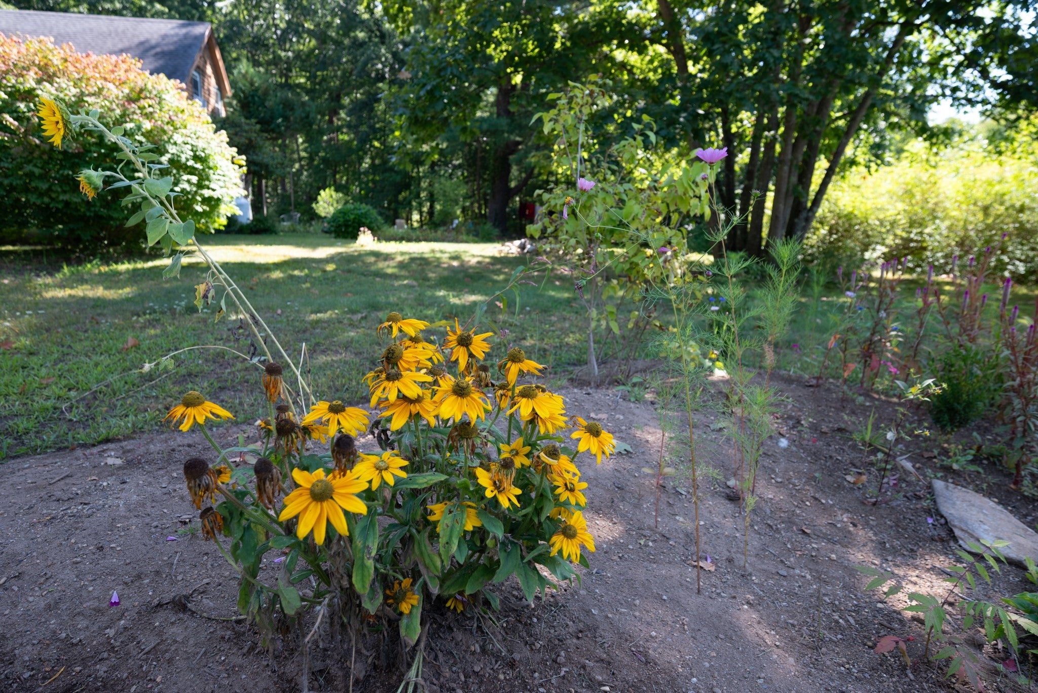 126 Federal St #126, Montague, MA Photo #20