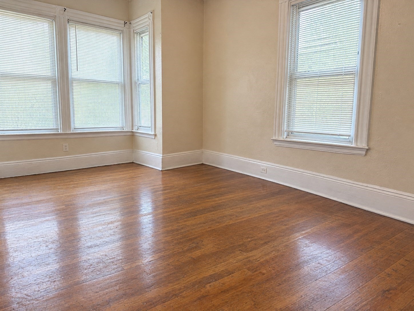 114 Westville Street, Boston, MA, 114 Westville Street, Boston, MA Photo #7