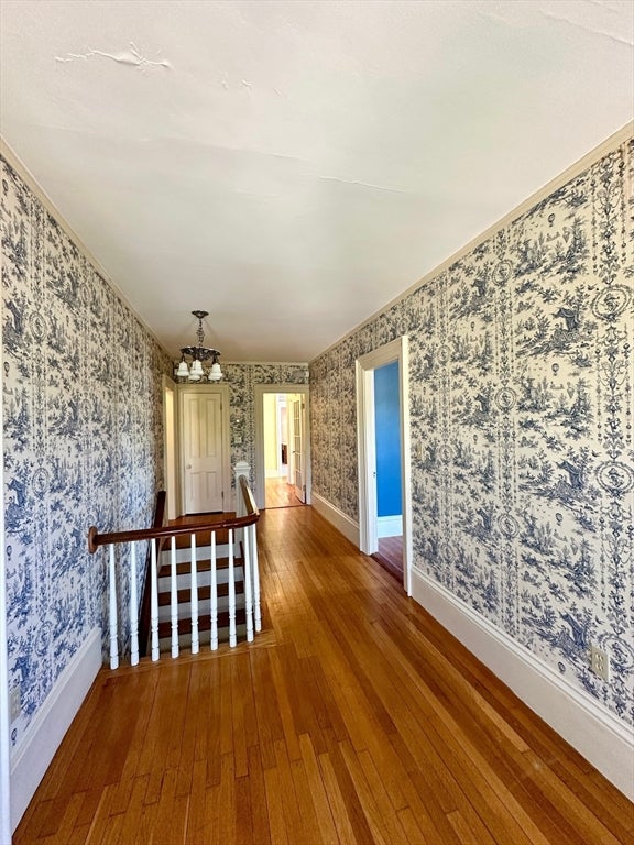 984 Chestnut St #2, Newton, MA, 984 Chestnut St #2, Newton, MA Photo #16