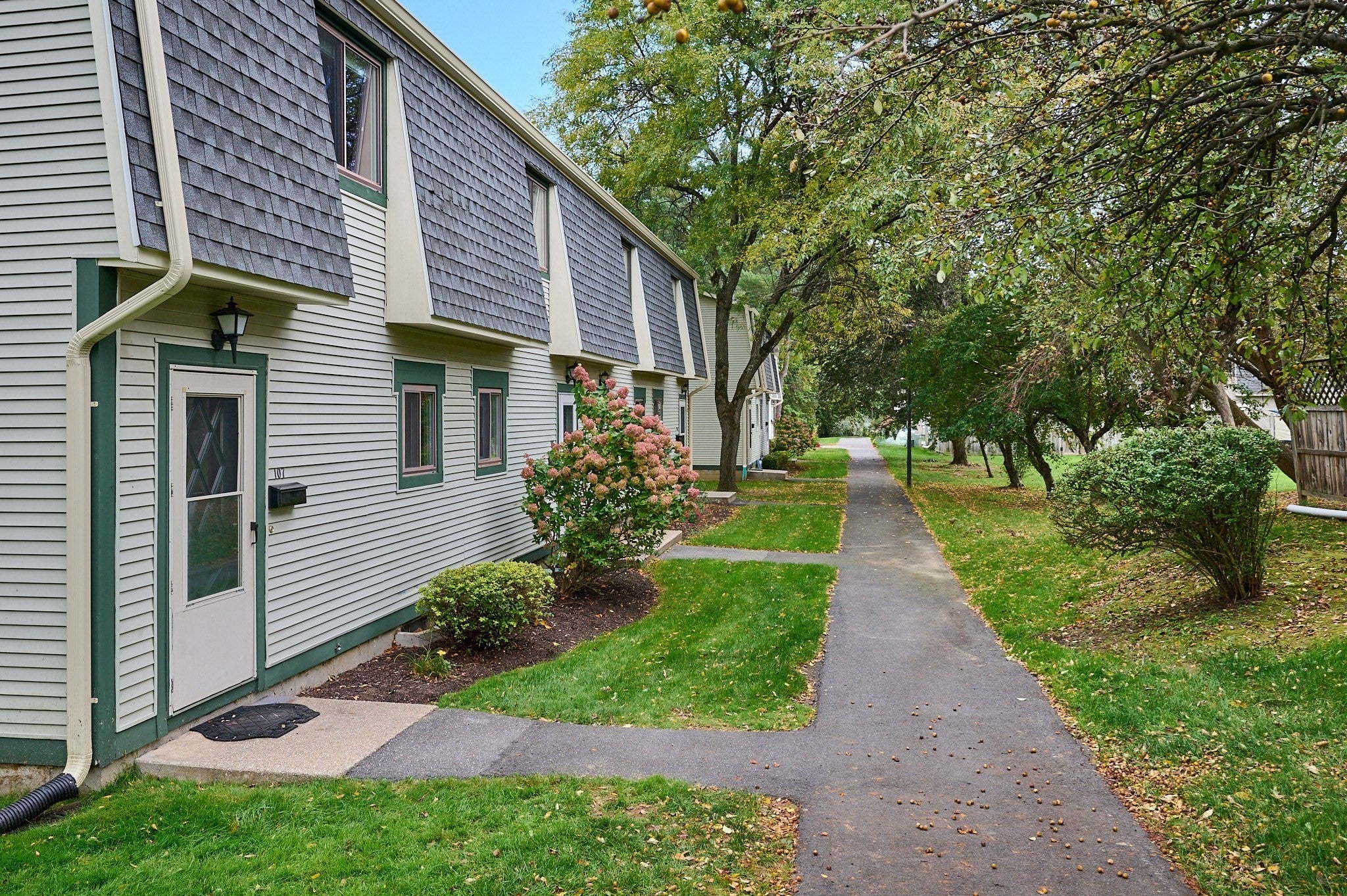 170 E Hadley Rd #107, Amherst, MA Photo #3