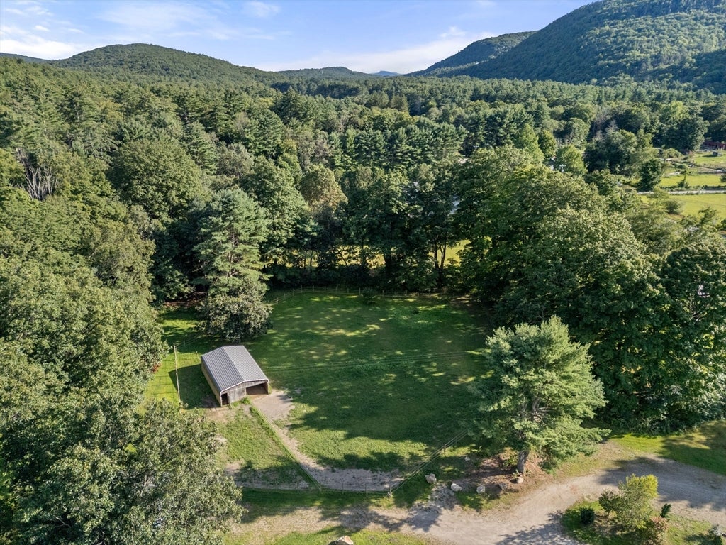 487 Long Plain Rd, Leverett, MA, 487 Long Plain Rd, Leverett, MA Photo #39
