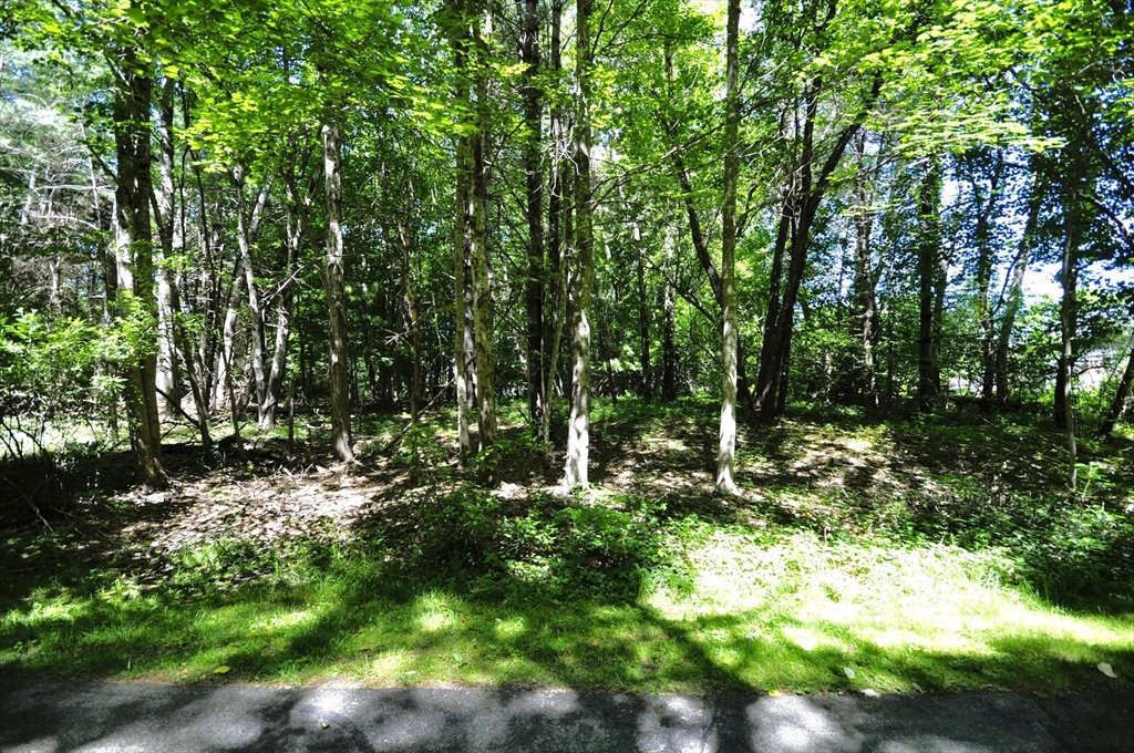 0 River Rd Ext