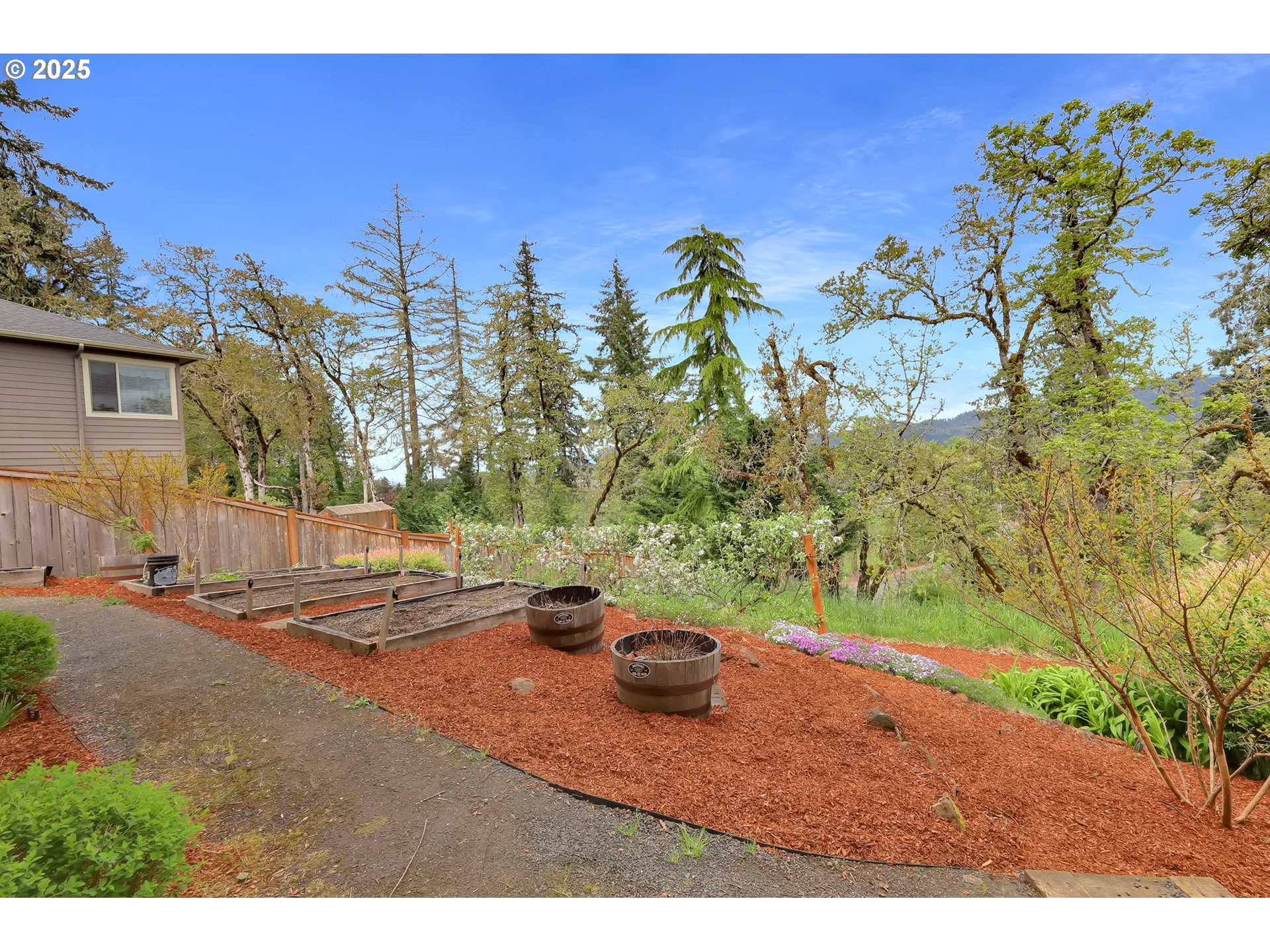 Springfield, Oregon 97478, United States, 3 Bedrooms Bedrooms, ,3 BathroomsBathrooms,Residential,Pending,114986