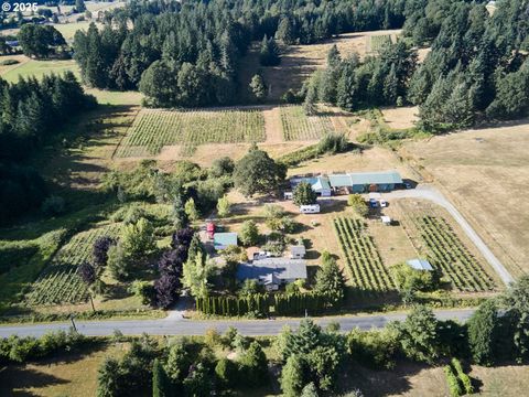 Photo of 11700 NE 279th St, Battle Ground, WA 98604 (MLS # 372038881)