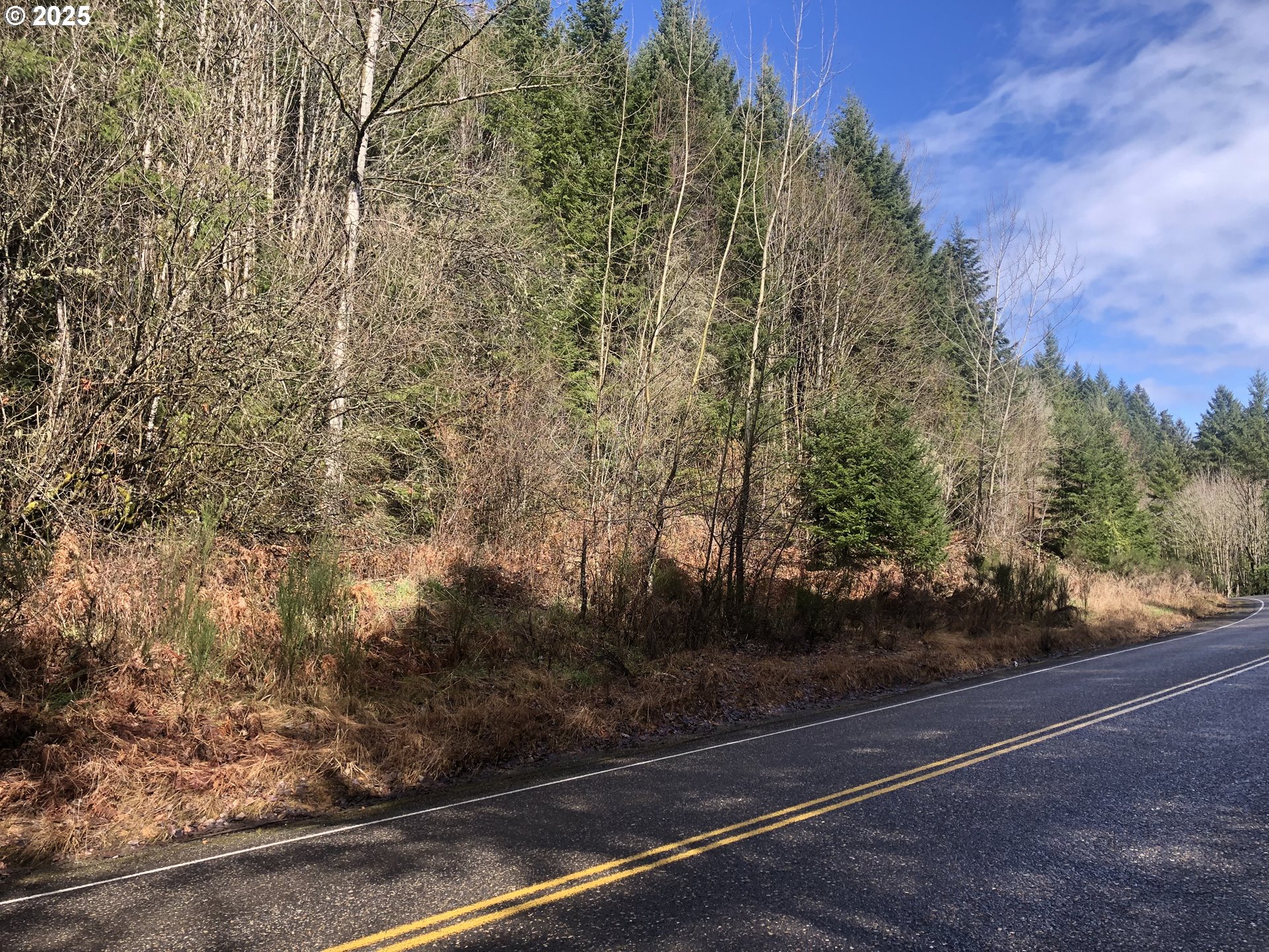 Scappoose Vernonia HWY