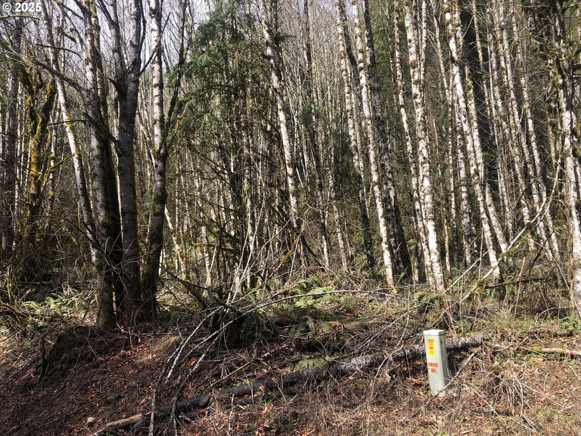 Scappoose Vernonia HWY