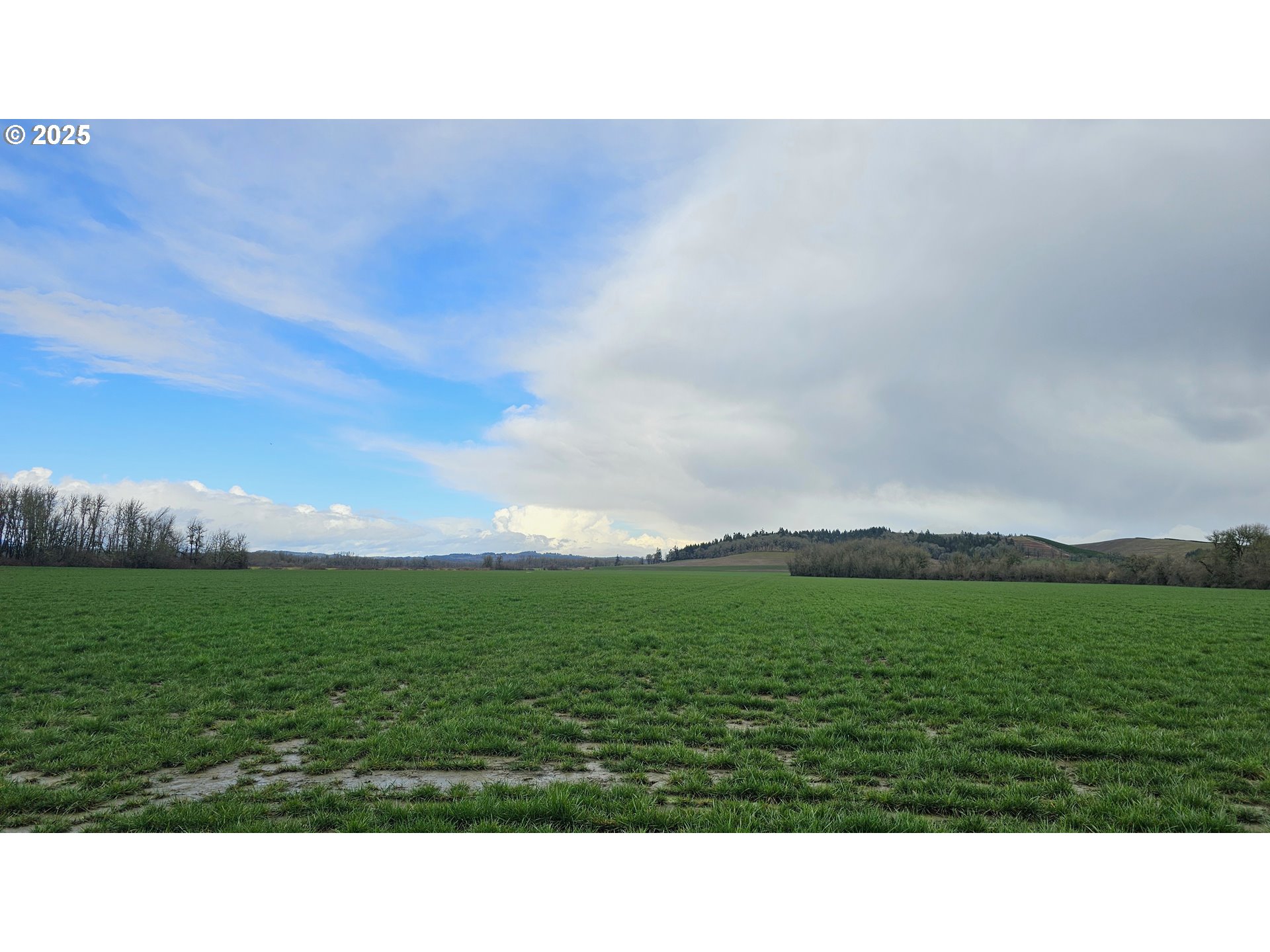 Monmouth, Oregon 97361, United States, ,Residential,Active,91943