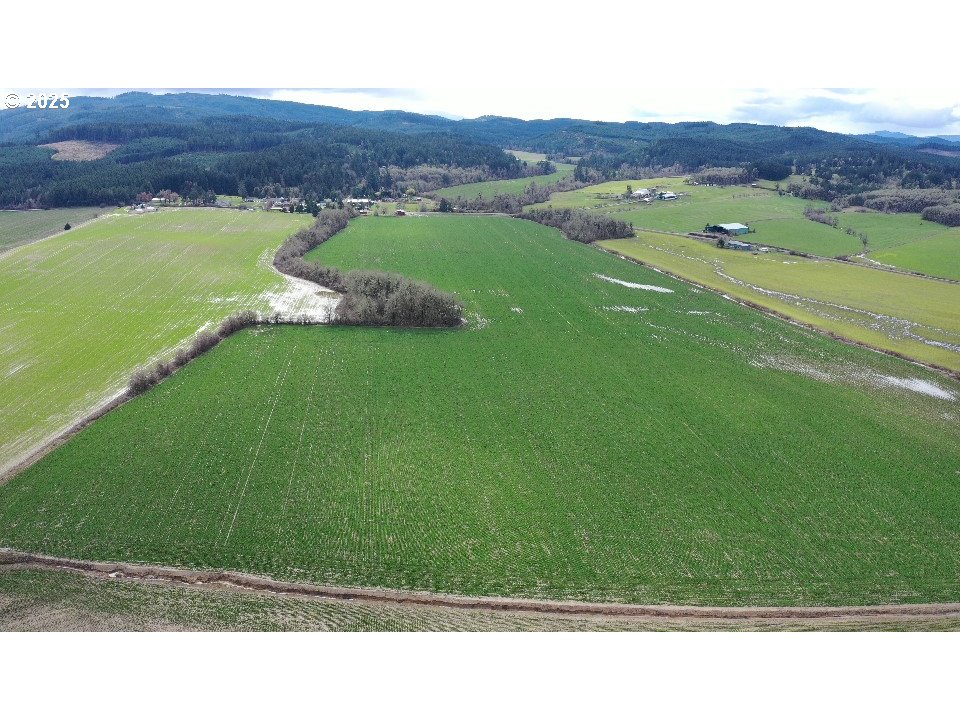 Monmouth, Oregon 97361, United States, ,Residential,Active,91943