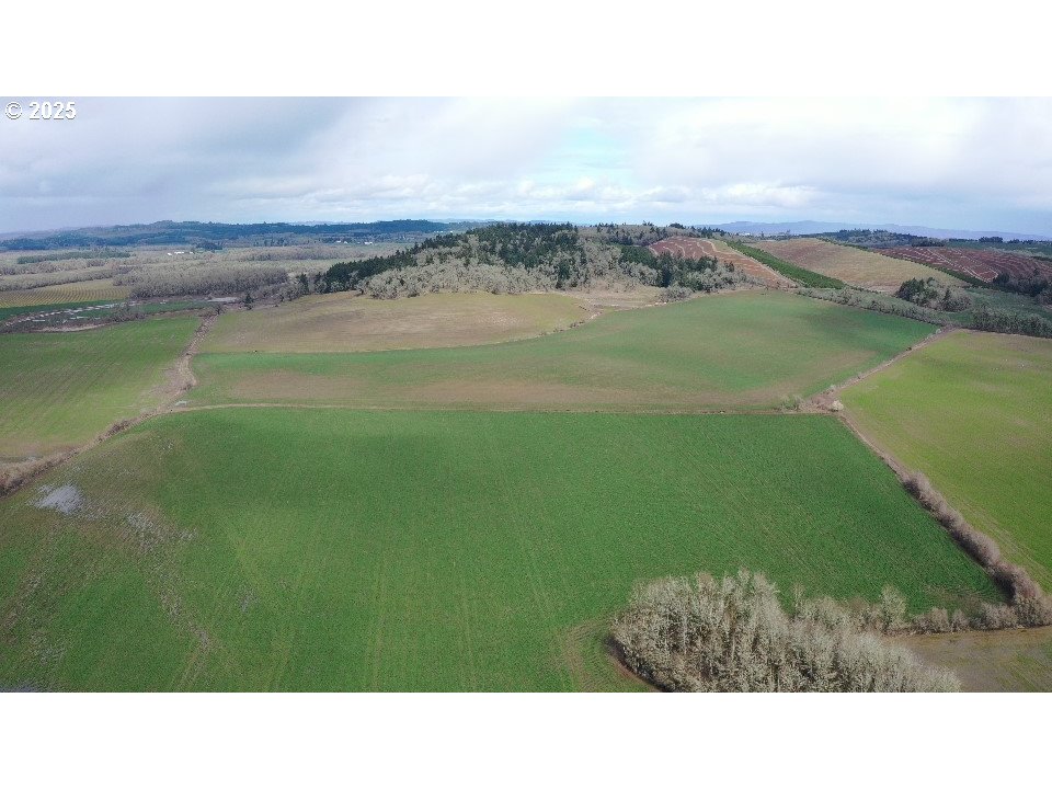 Monmouth, Oregon 97361, United States, ,Residential,Active,91943