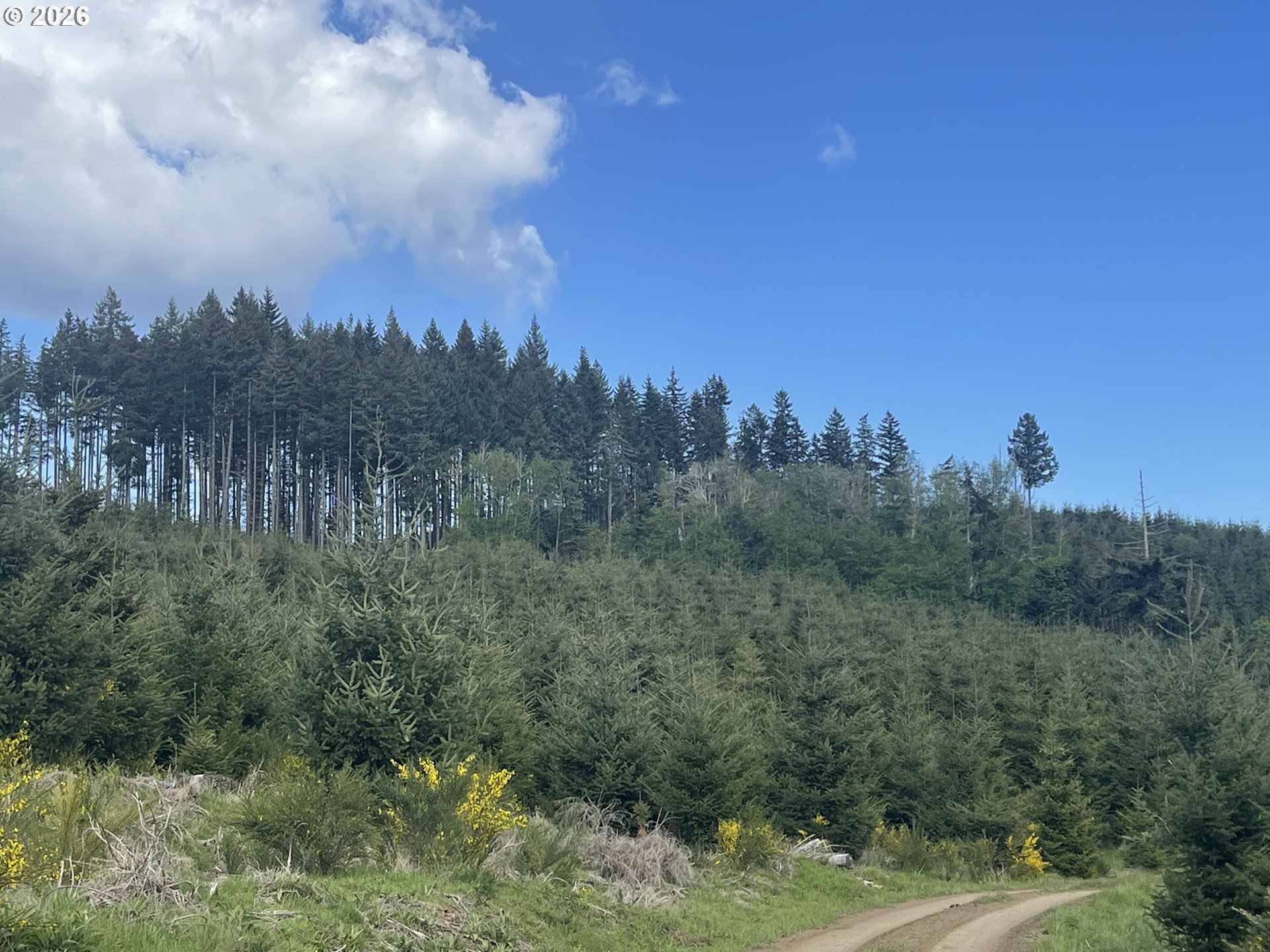 Rock Creek Rd