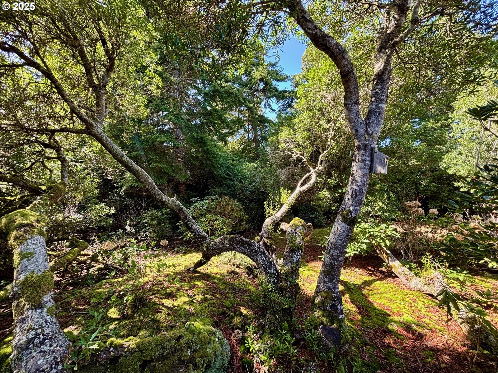 Florence, Oregon 97439, United States, 3 Bedrooms Bedrooms, ,3 BathroomsBathrooms,Residential,Active,102051