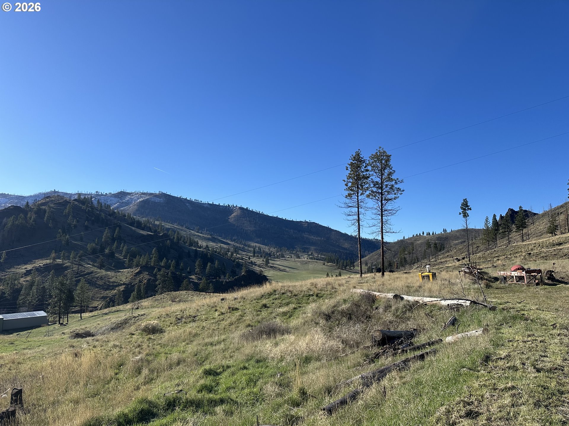 24403 Cougar Crossing RD