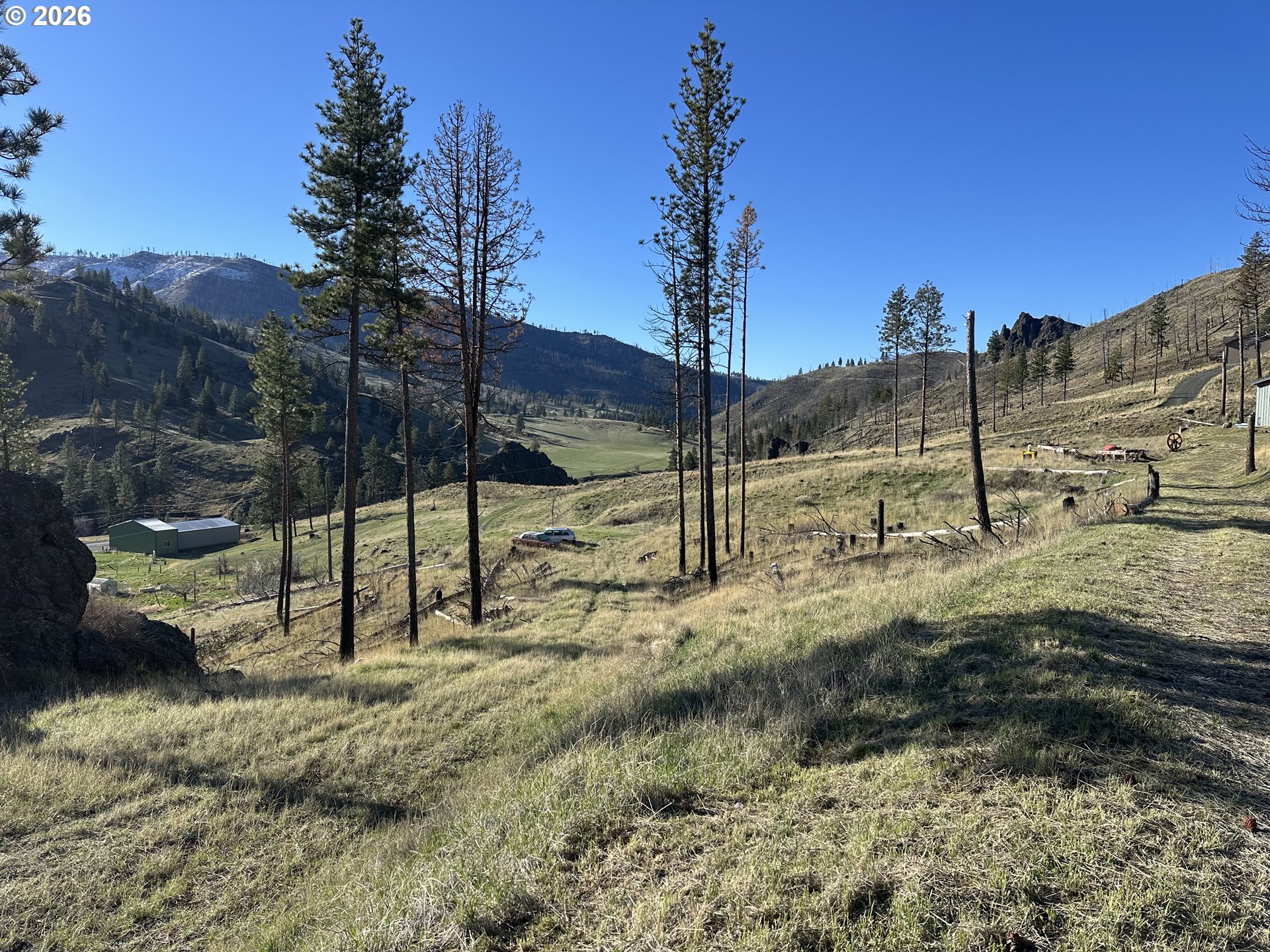 24403 Cougar Crossing RD