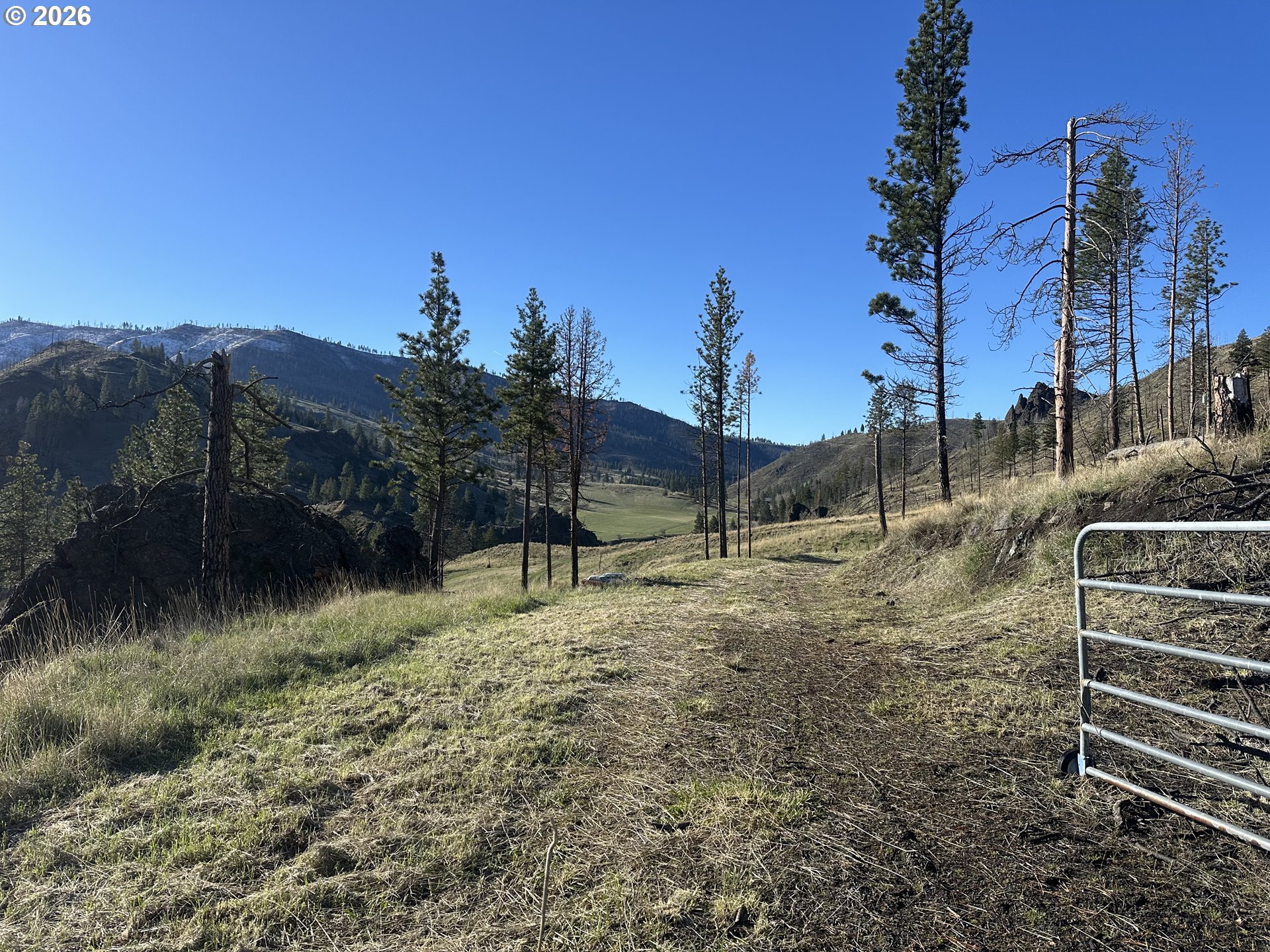 24403 Cougar Crossing RD