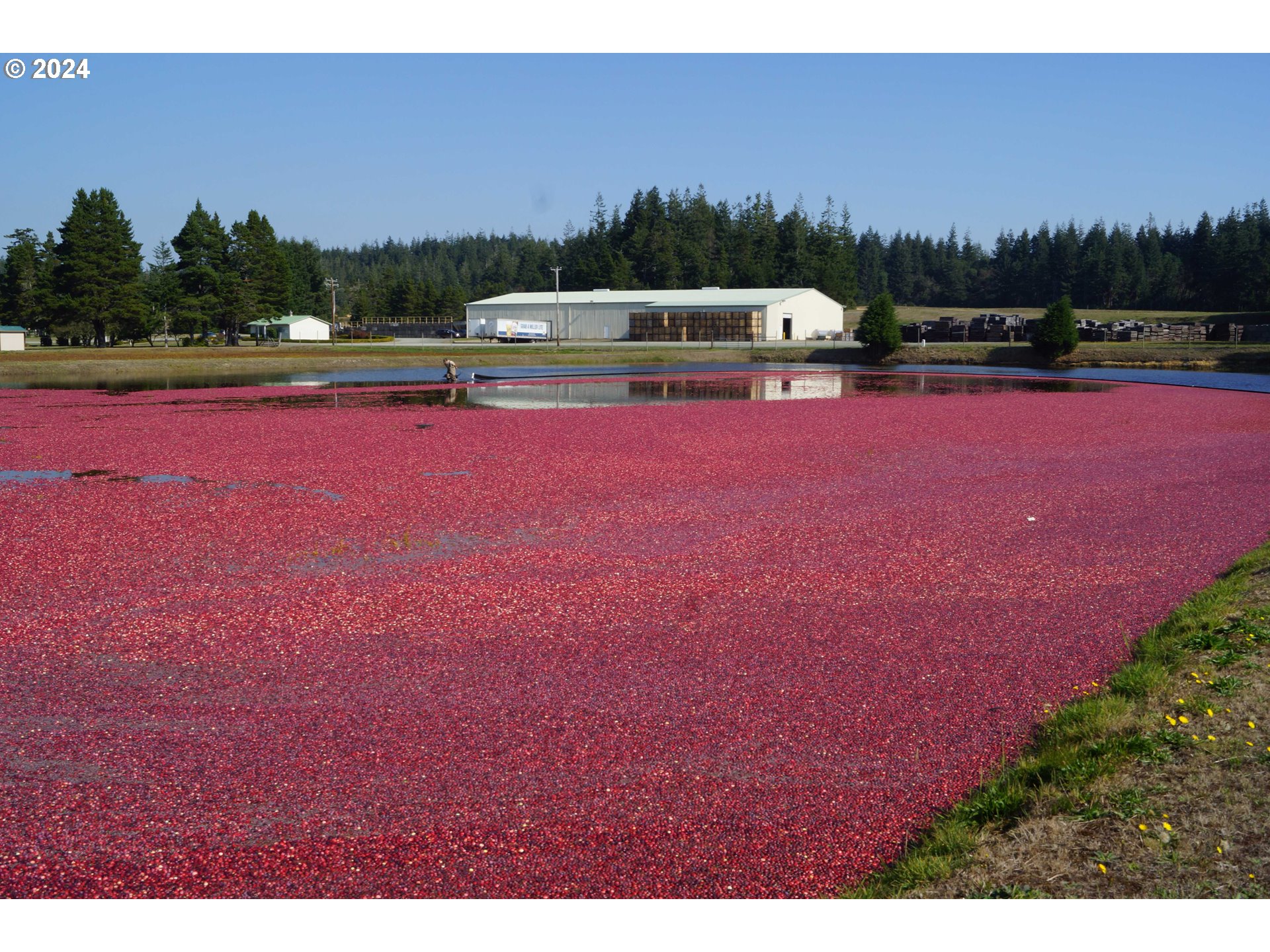 Bandon, Oregon 97411, United States, ,Commercial,Active,53607