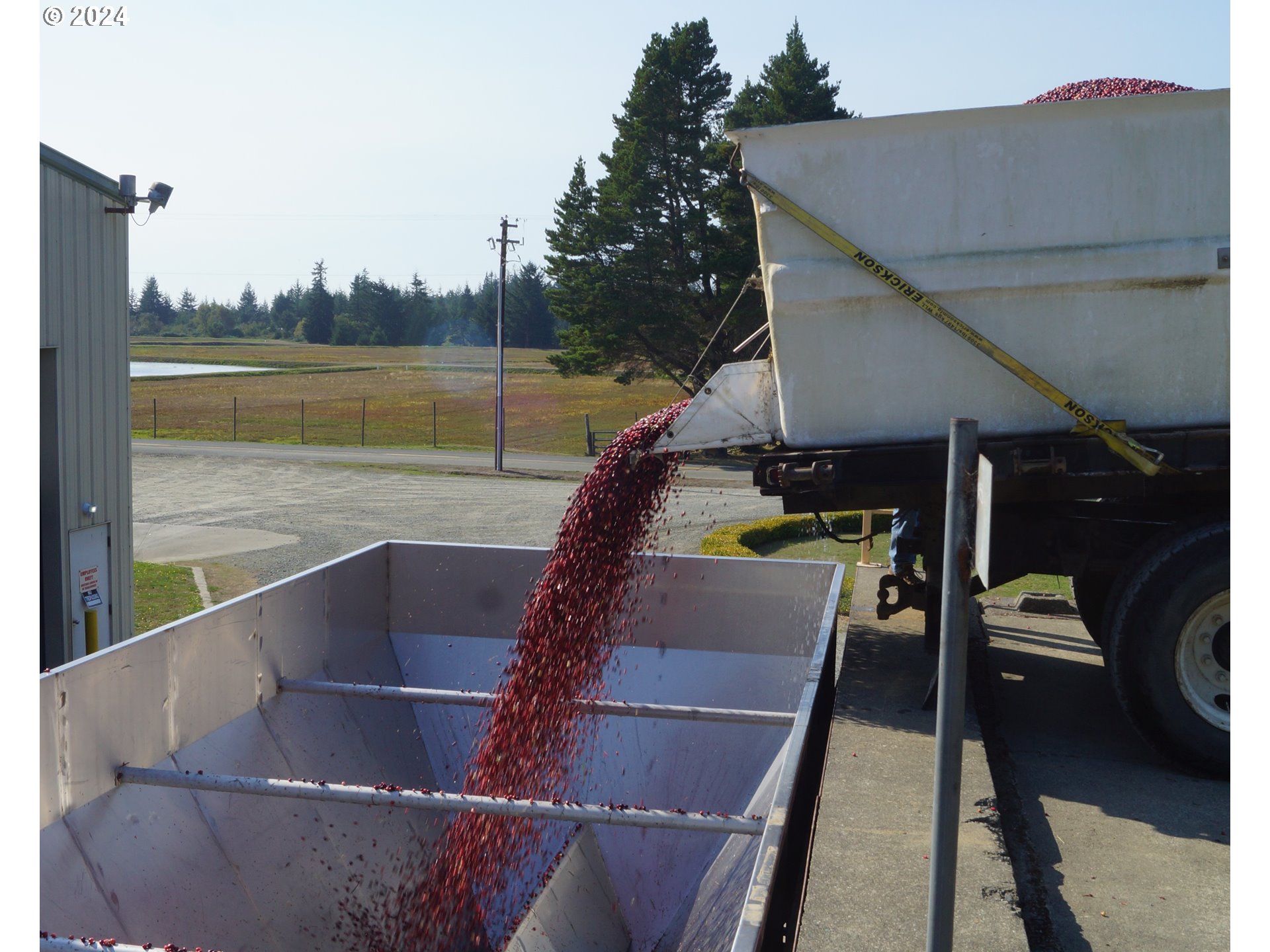 Bandon, Oregon 97411, United States, ,Commercial,Active,53607