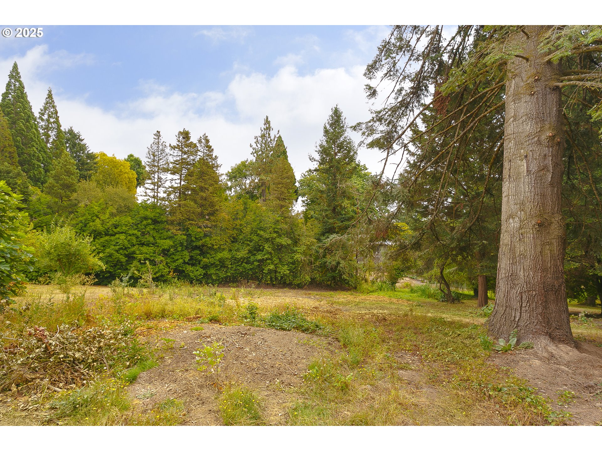 3300 SW RIDGEWOOD AVE