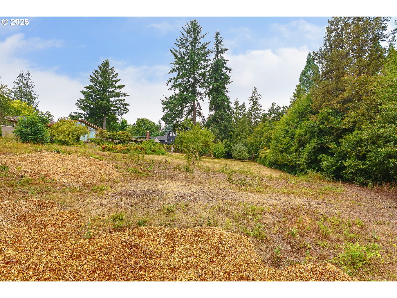 3300 SW RIDGEWOOD AVE