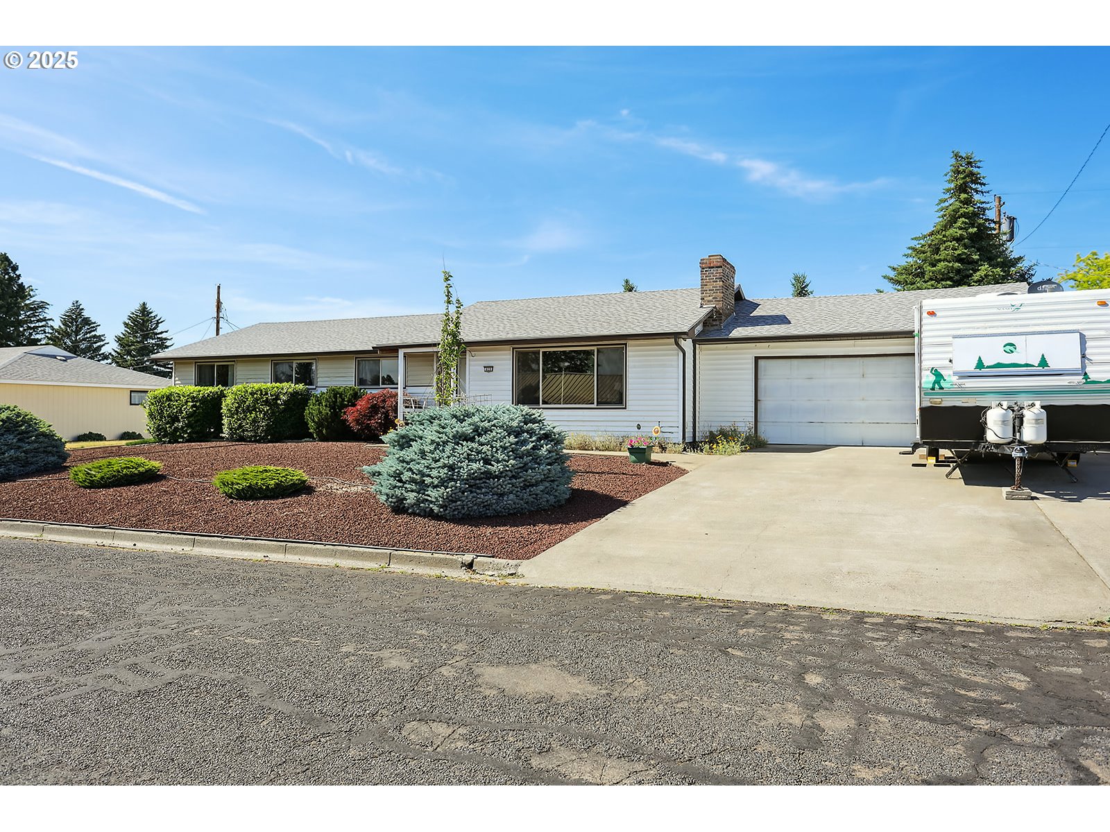 825 MAPLE DR
