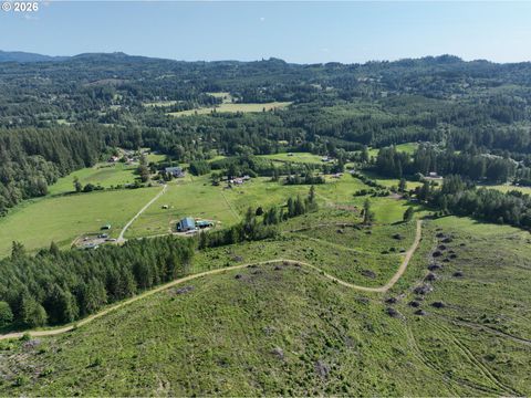 0 NE 206th AVE Amboy WA 98601