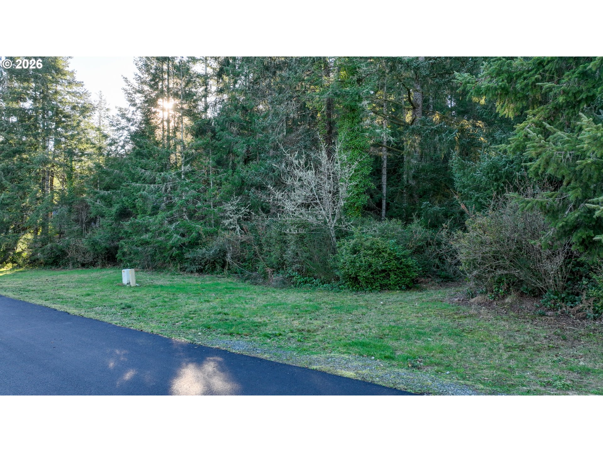 VL Ponderosa LOOP LOT 61