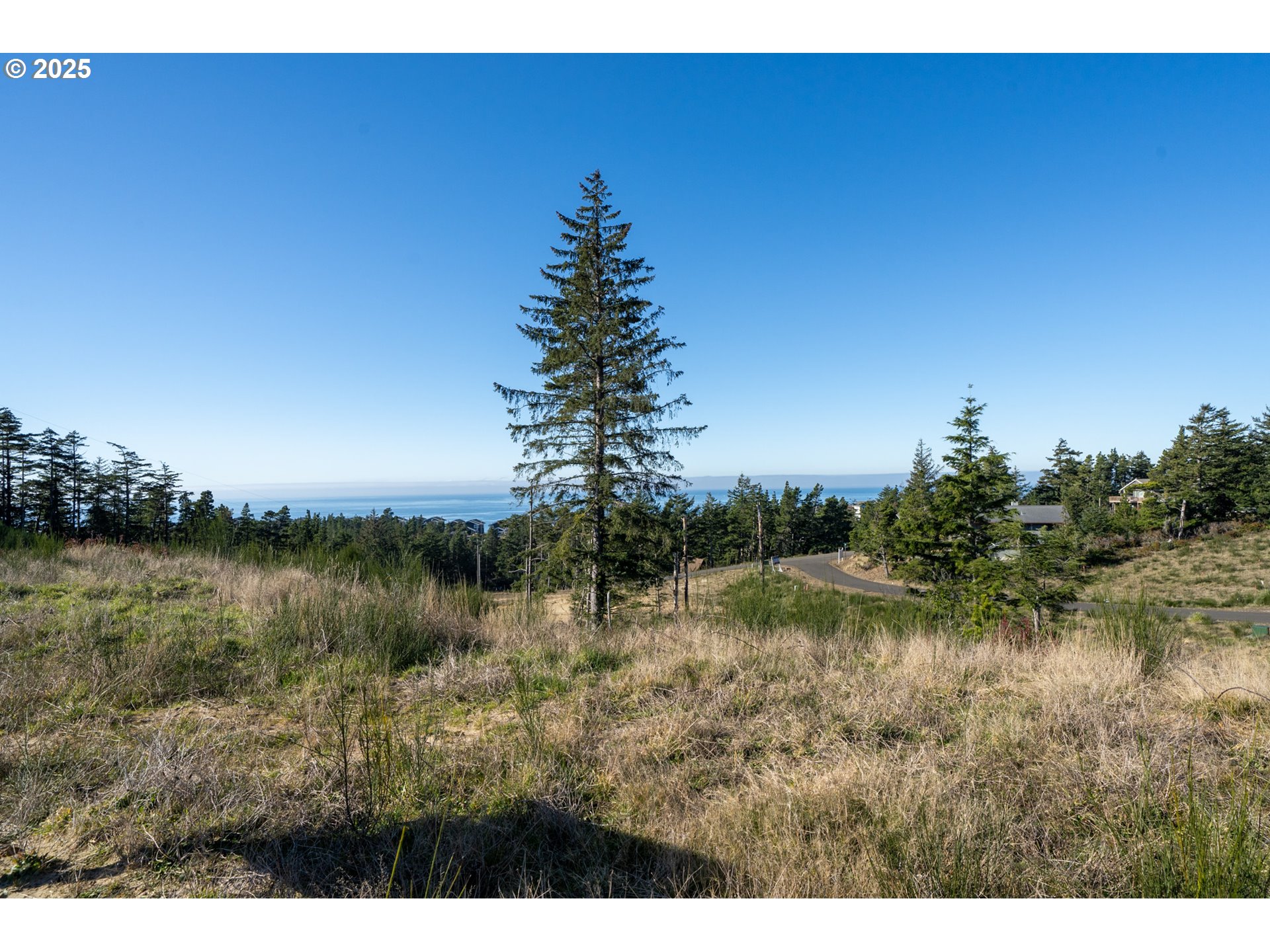 Oceanside, Oregon 97134, United States, ,Land,Active,9461