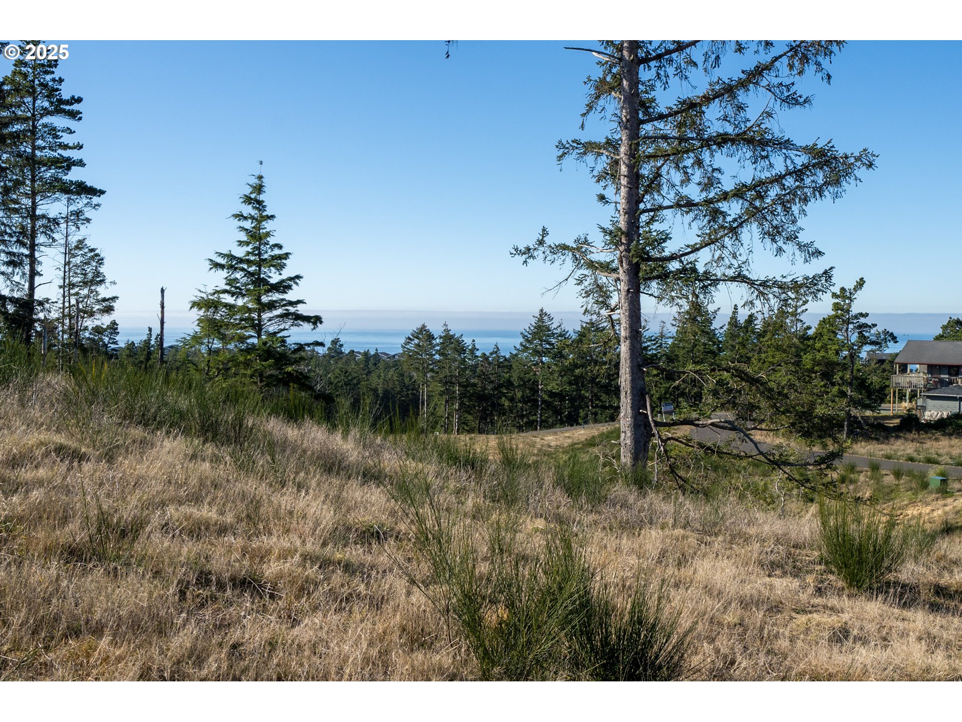 Oceanside, Oregon 97134, United States, ,Land,Active,9461