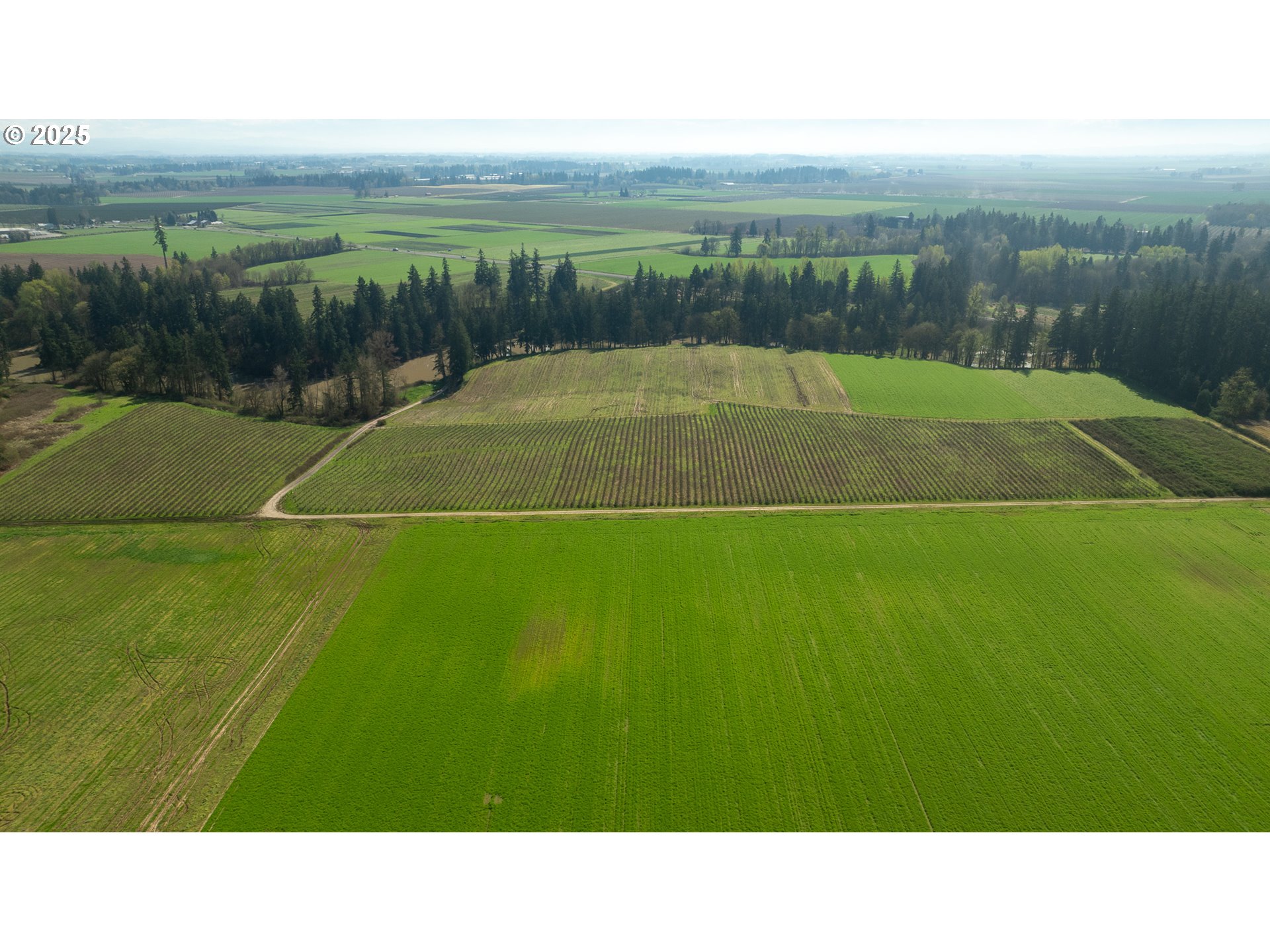 St Paul, Oregon 97137, United States, ,Residential,Active,121358