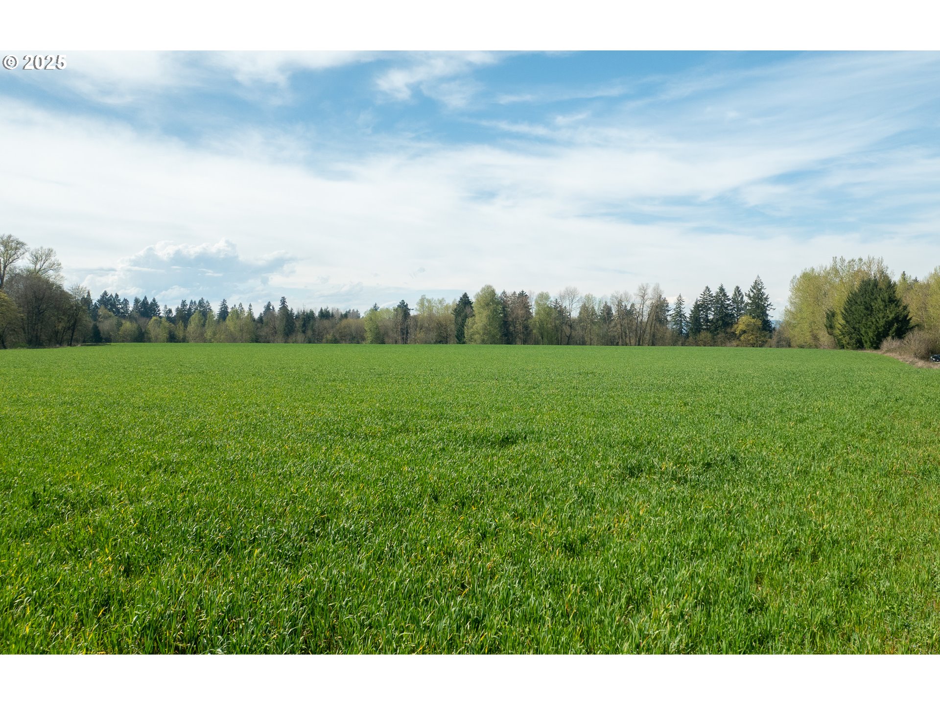 St Paul, Oregon 97137, United States, ,Residential,Active,121358