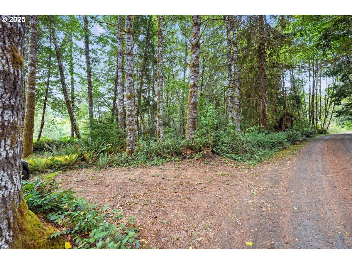 Longview, Washington 98632, United States, ,Land,Active,188104