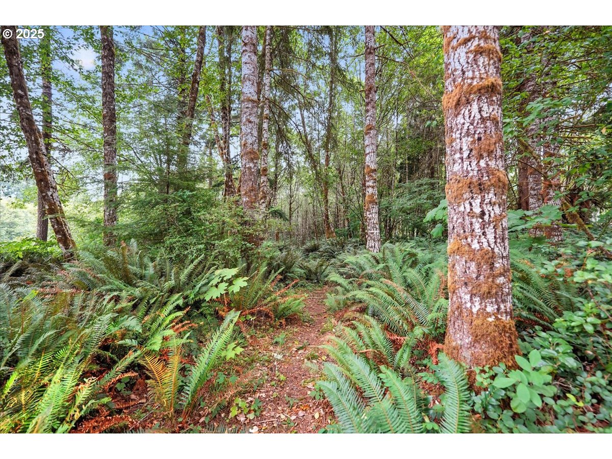 Longview, Washington 98632, United States, ,Land,Active,188104