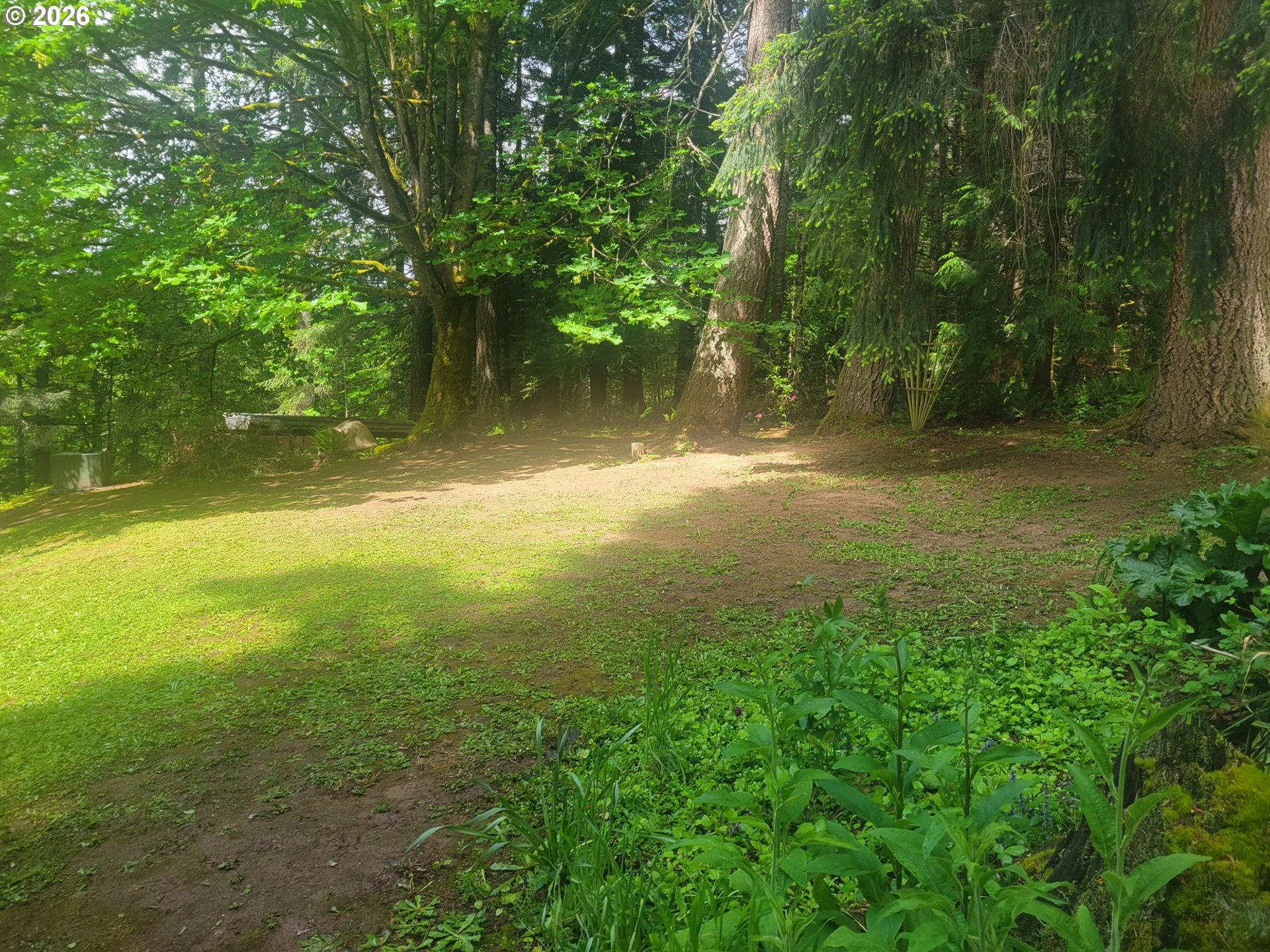 28567 SCAPPOOSE VERNONIA HWY