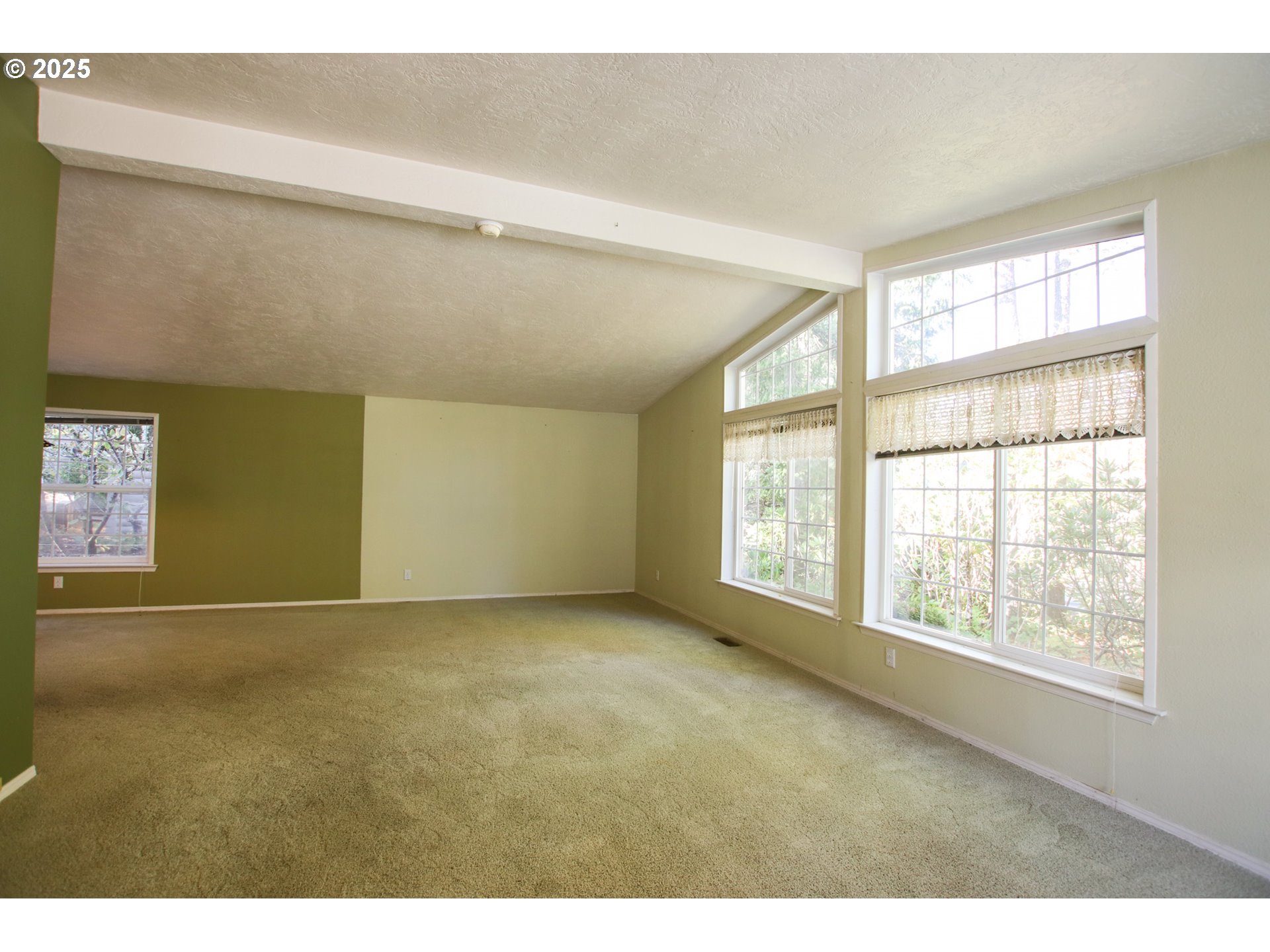 216 MUNSEL CREEK LOOP