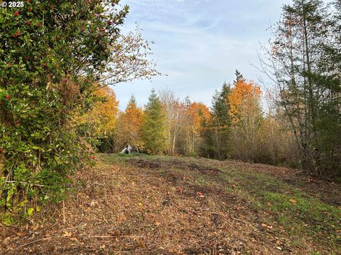 NE Fargher DR 1 Yacolt WA 98675