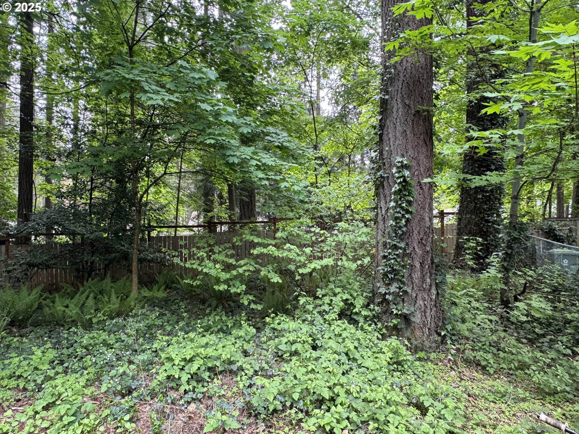 NT 18581Timbergrove CT