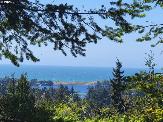 PORT ORFORD LOOP RD, PORT ORFORD, OR 97465 - Image 06d5c8aa28a16409d7cd53284257cdcc/1661584162