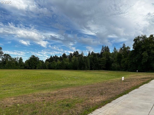 481 SW OREGON FALLS DR