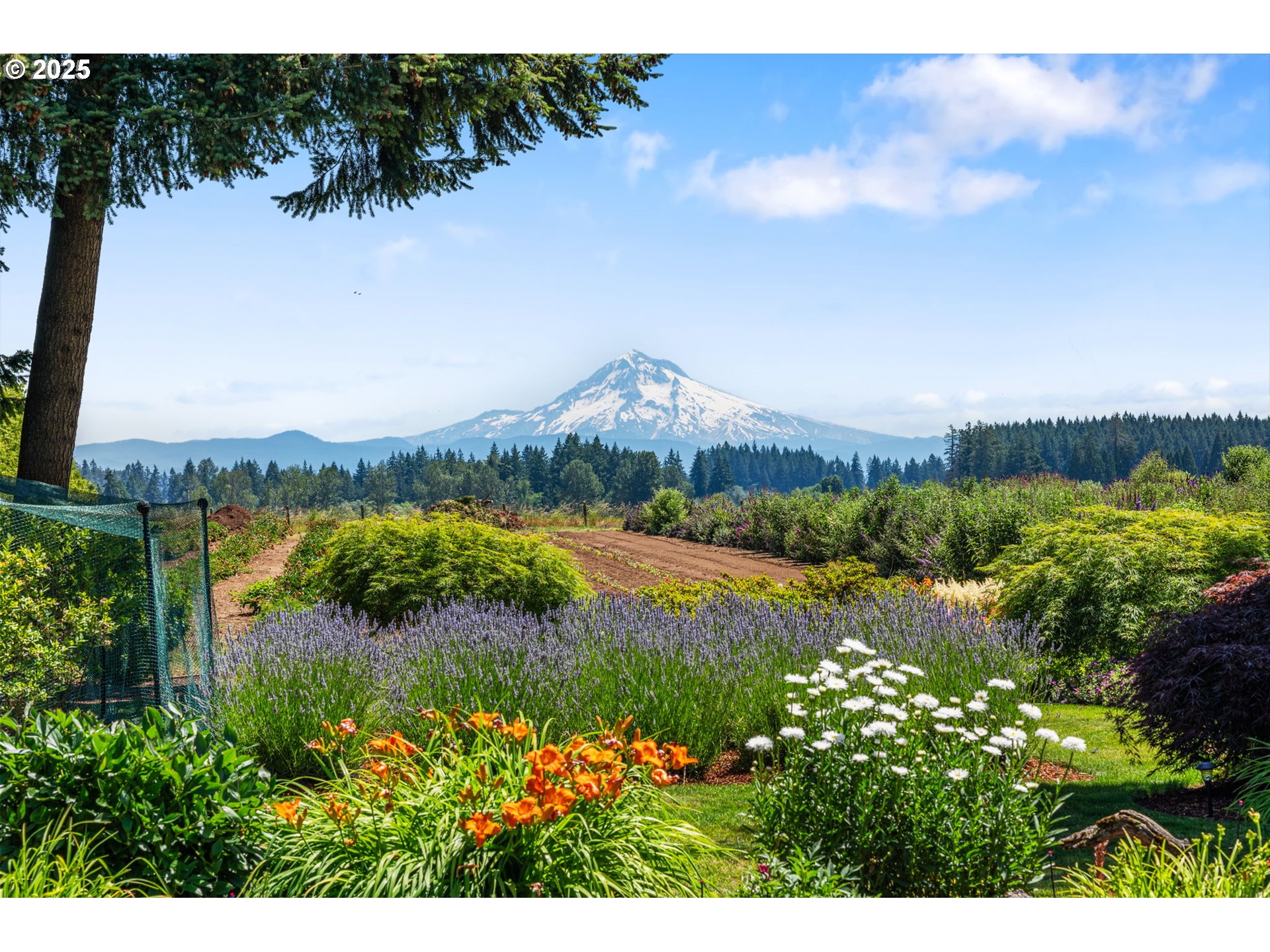 14700 SE TICKLE CREEK RD
