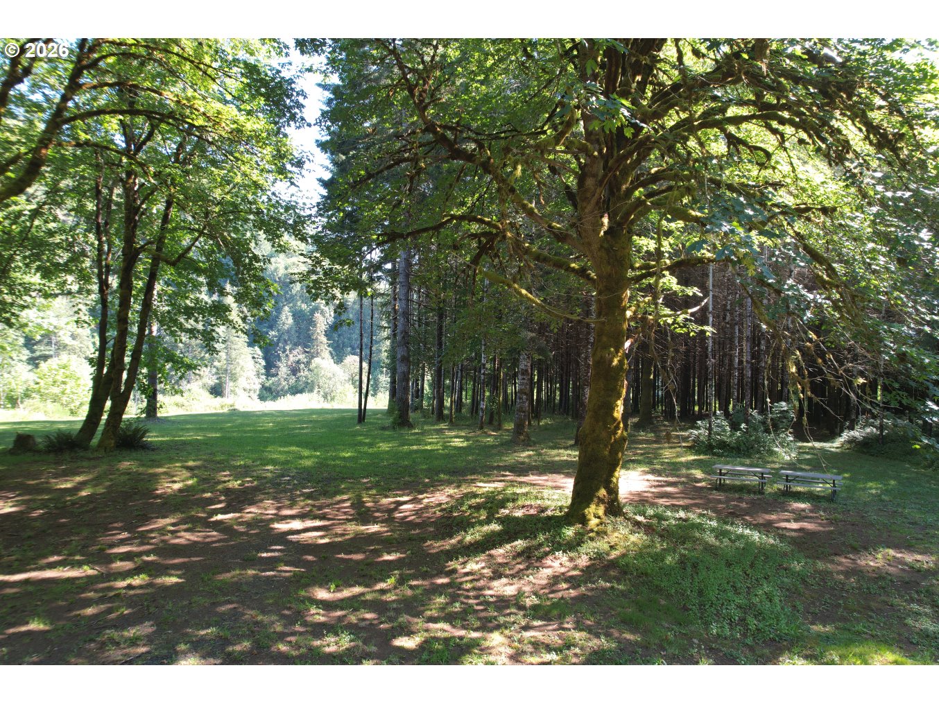 28593 LOWER SMITH RIVER RD