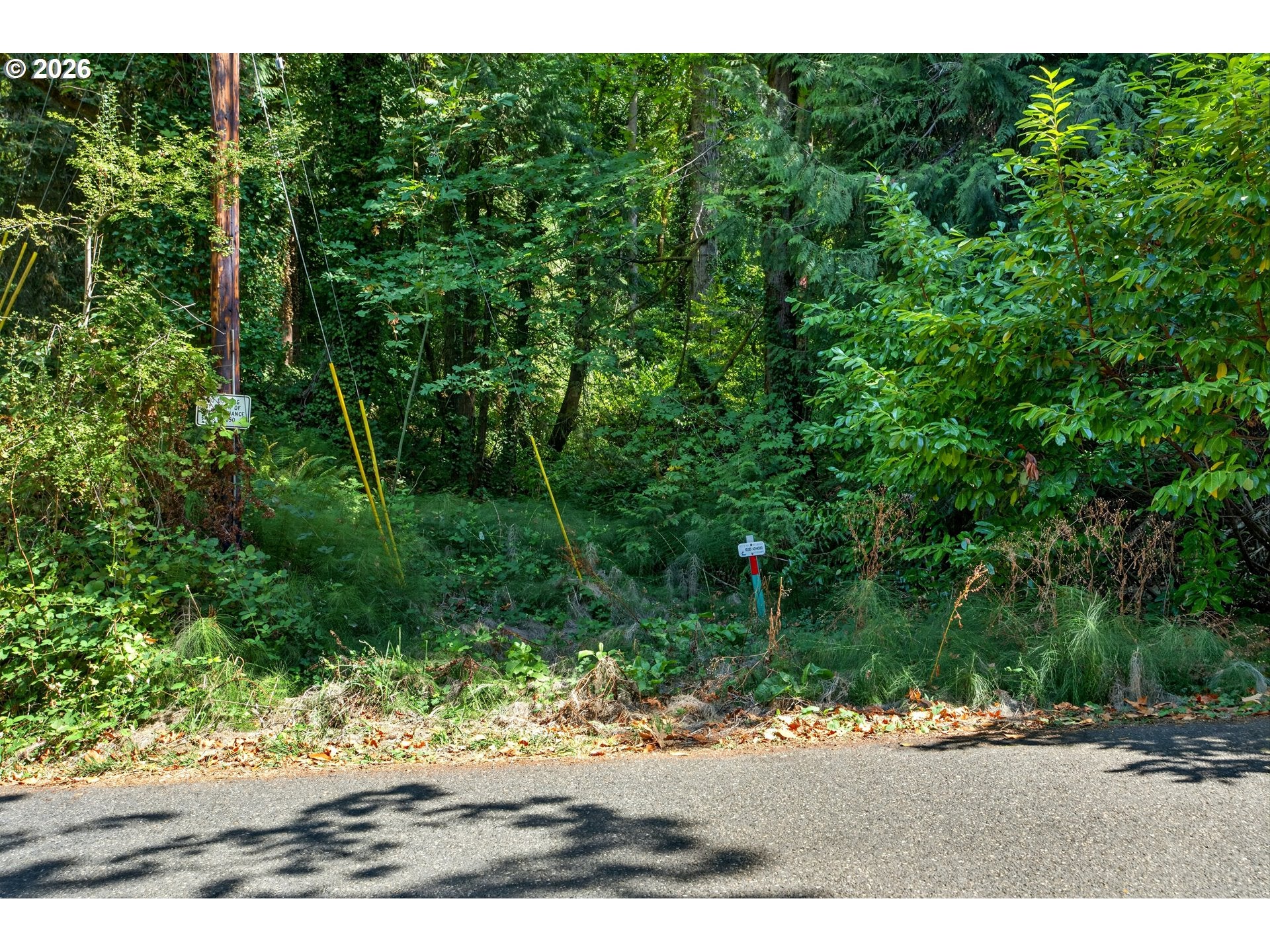 1103 SW MAPLECREST DR