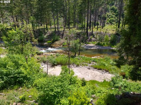 91303 BLUE RIVER RD Blue River OR 97413