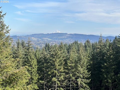 A home in Newberg