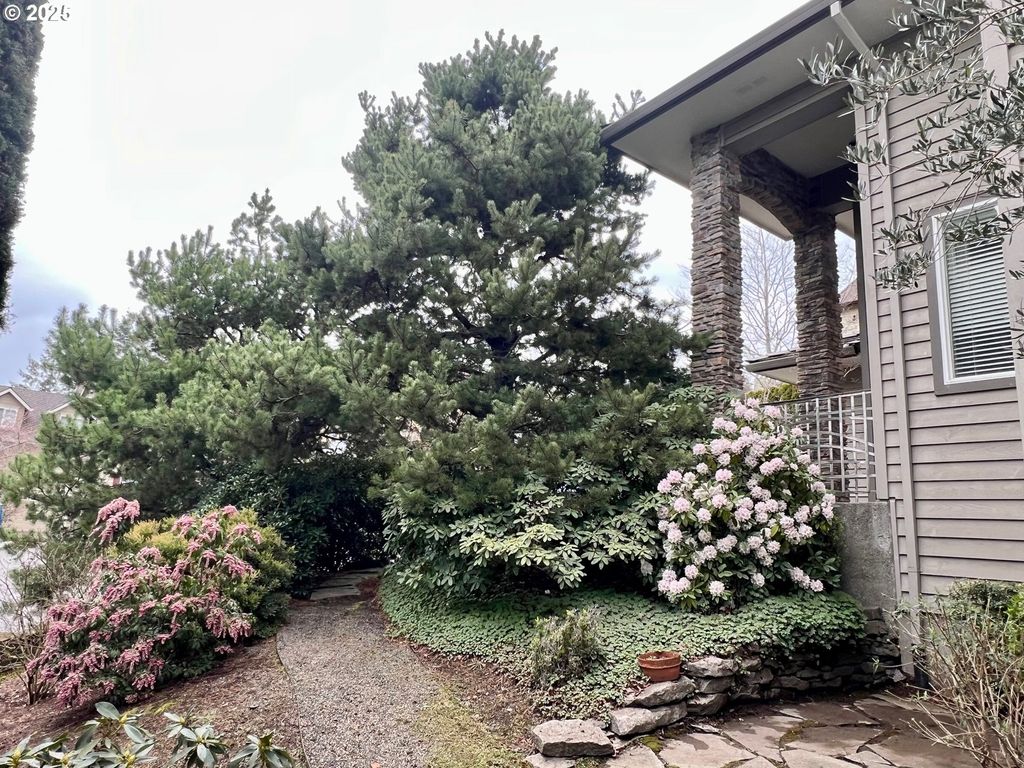 listing image 41