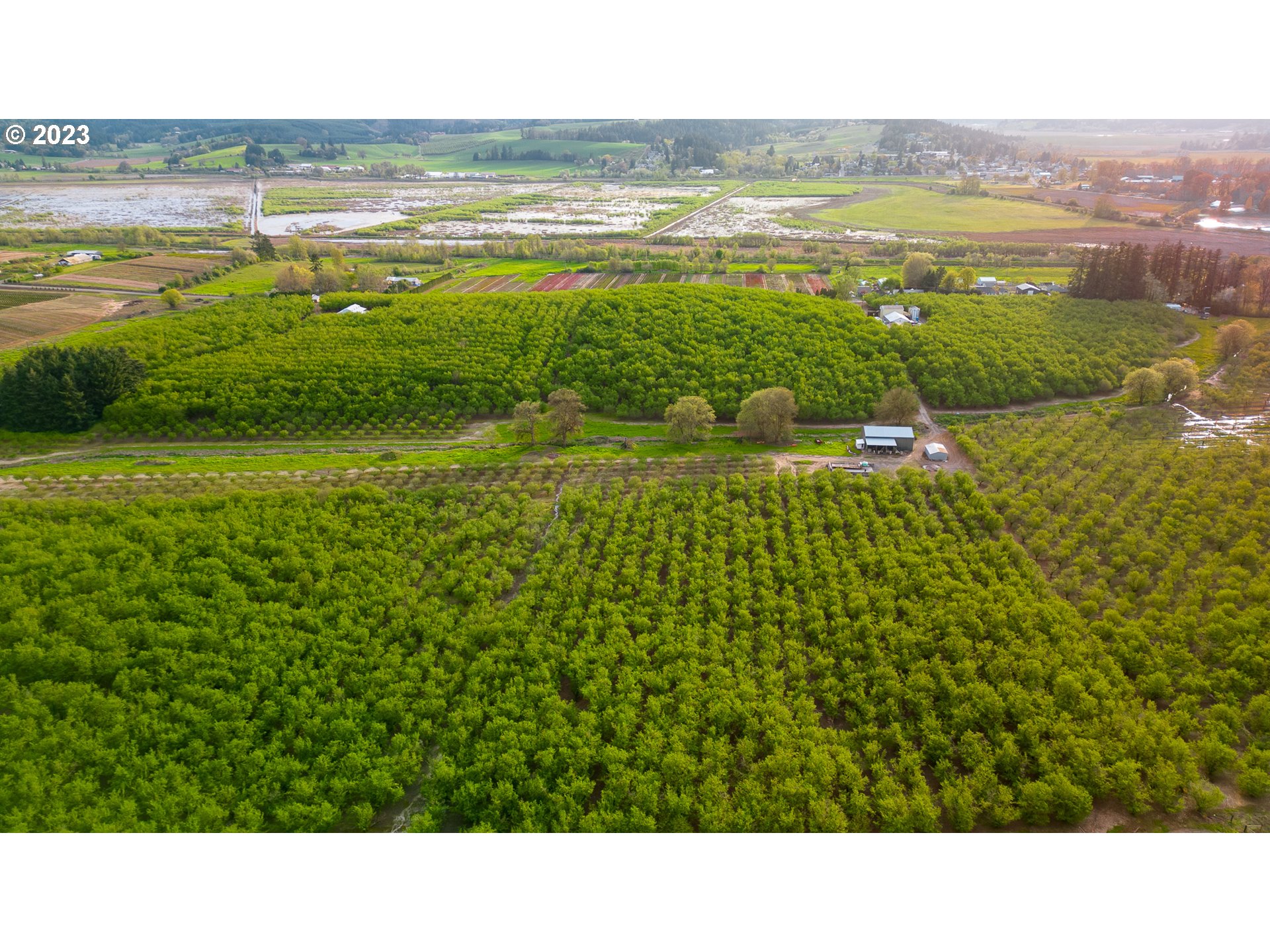 Gaston, Oregon 97119, United States, ,Residential,Active,72914