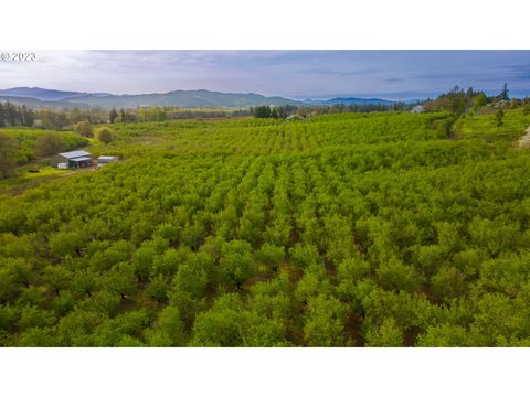 11706 SW SPRING HILL RD Gaston OR 97119