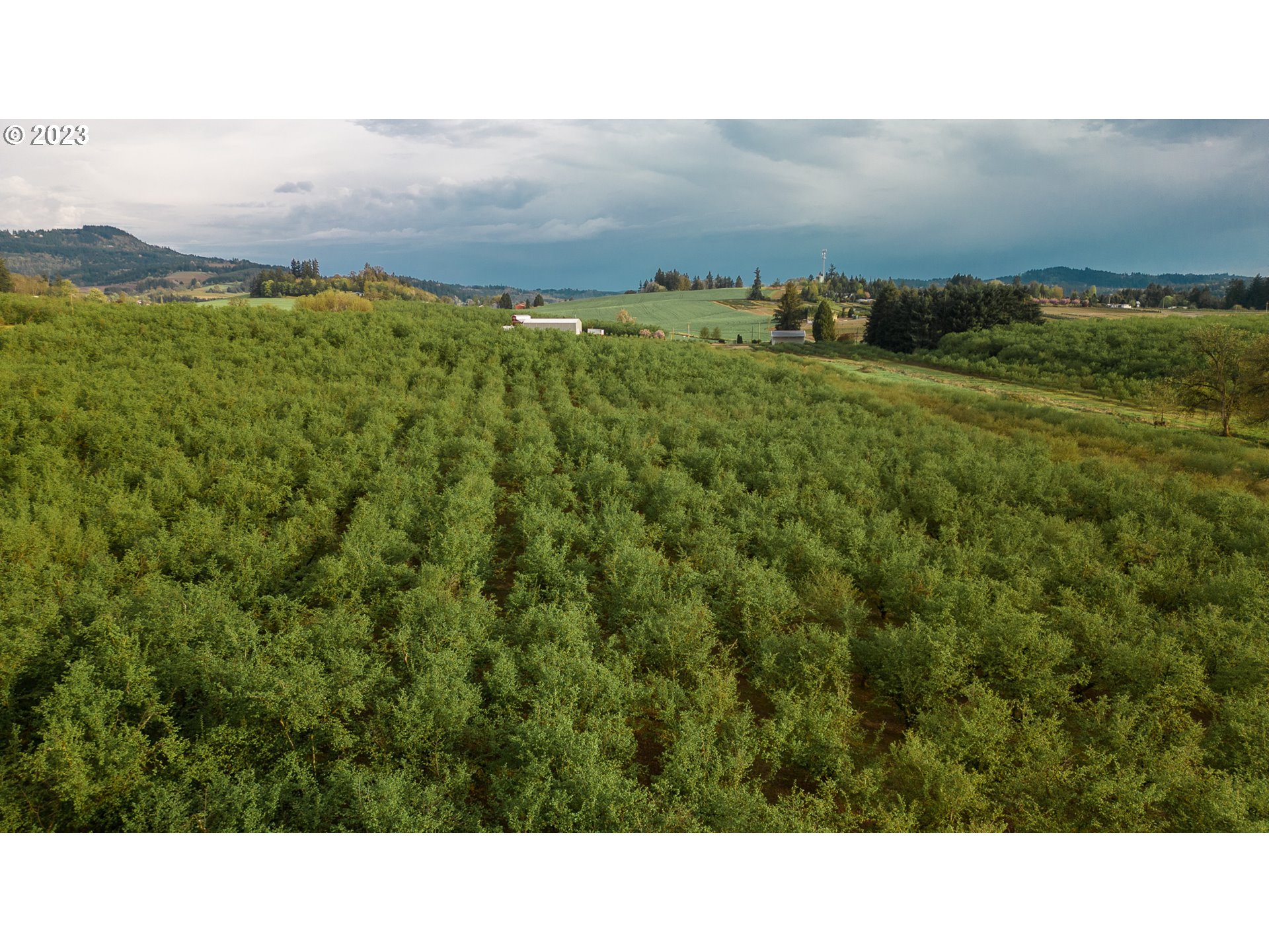 11706 SW SPRING HILL RD