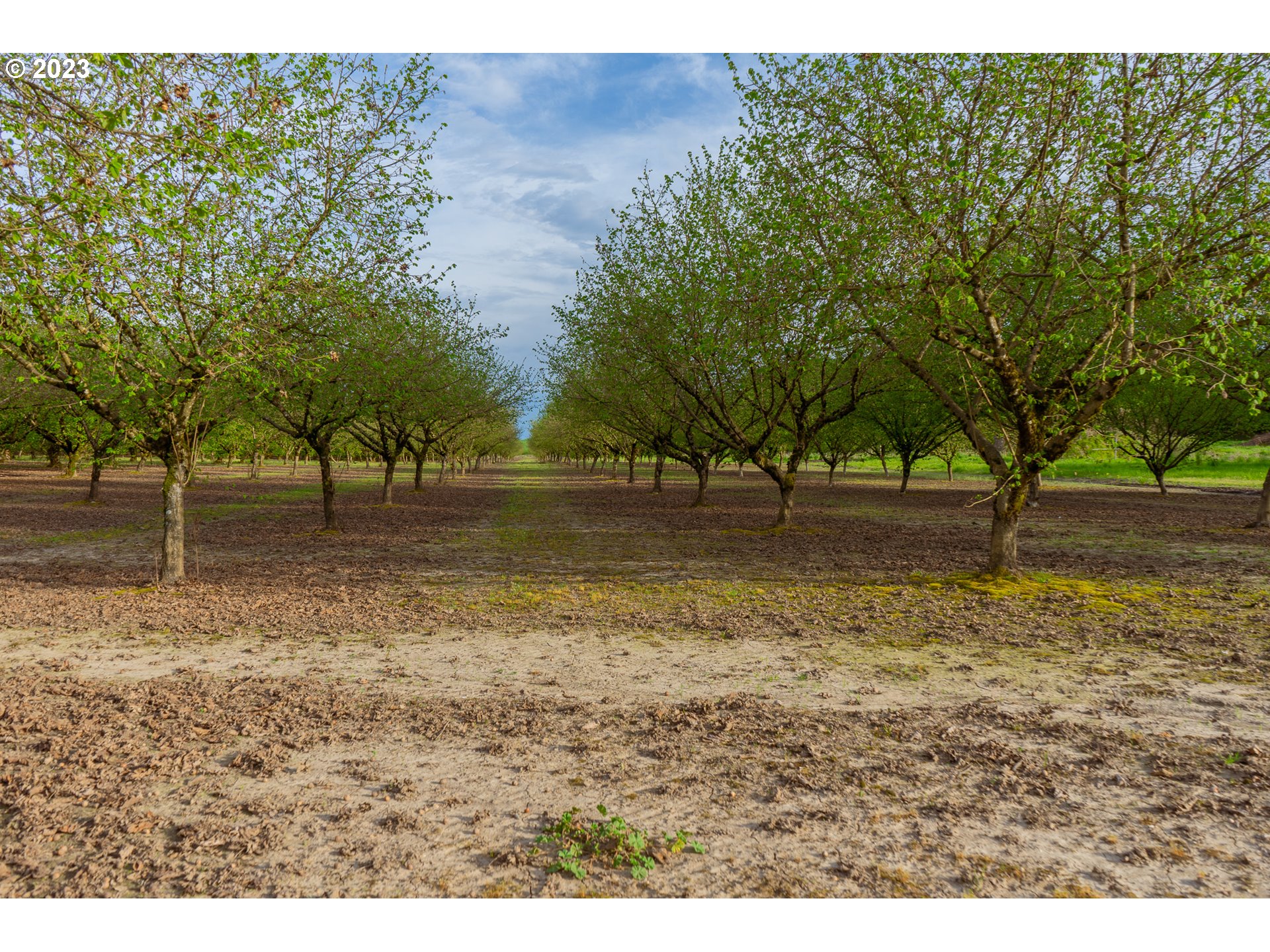 Gaston, Oregon 97119, United States, ,Residential,Active,72914